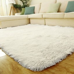 家庭地毯清洁方法(图1)
